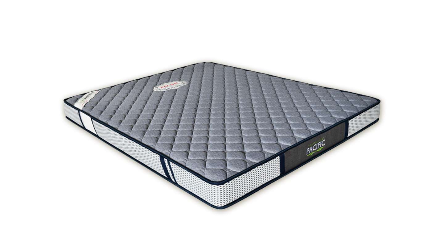 SP24120045